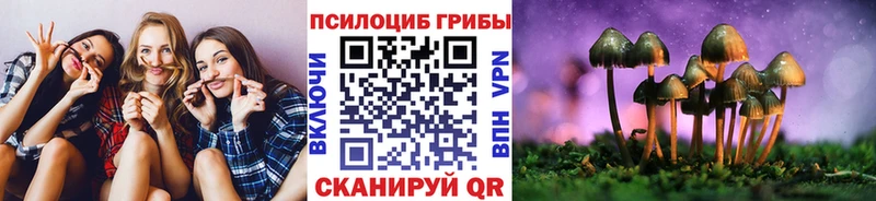 закладки  Калтан  Псилоцибиновые грибы Psilocybine cubensis 